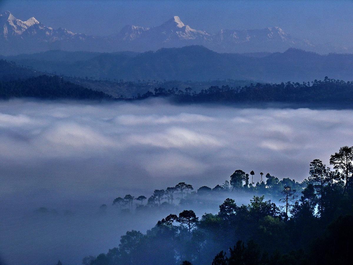 Ayurvaid Kalmatia Hotel Almora Luaran gambar