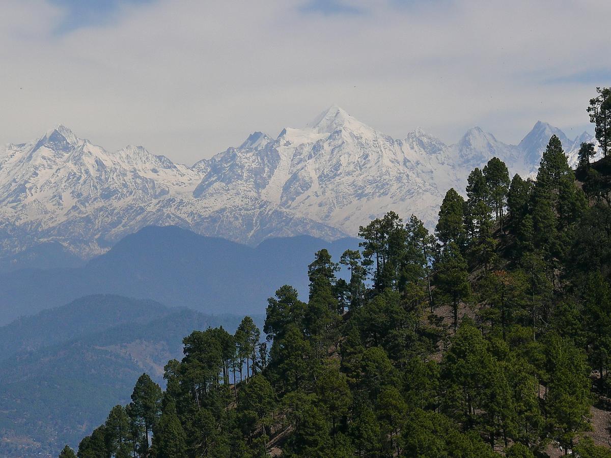 Ayurvaid Kalmatia Hotel Almora Luaran gambar