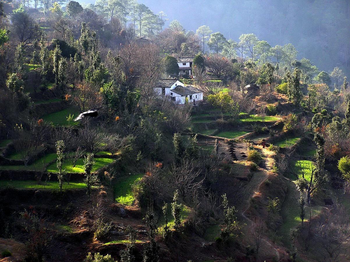 Ayurvaid Kalmatia Hotel Almora Luaran gambar